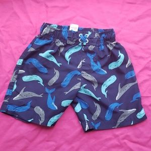 Cute Whale Swim Trunks